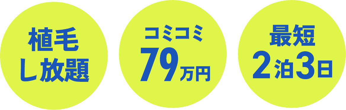 植毛し放題、コミコミ79万円、最短2泊3日