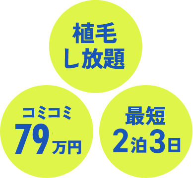 植毛し放題、コミコミ79万円、最短2泊3日